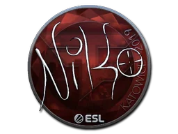 Katowice 2019NiKo (Foil)