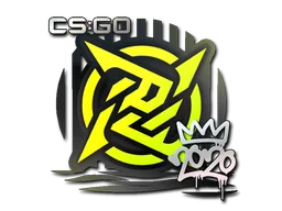 2020 RMRNinjas in Pyjamas
