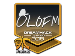 Cluj-Napoca 2015olofmeister