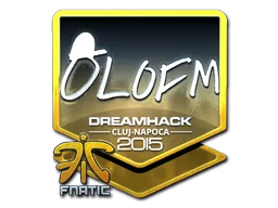 Cluj-Napoca 2015olofmeister (Foil)