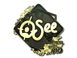 Rio 2022oSee (Gold)