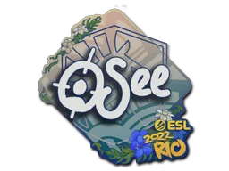 Rio 2022oSee