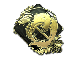 Rio 2022Outsiders (Gold)