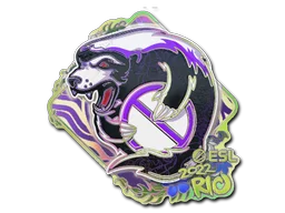Rio 2022Outsiders (Holo)