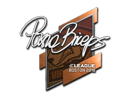 Boston 2018pashaBiceps