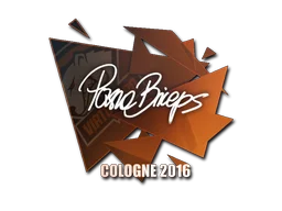 Cologne 2016pashaBiceps