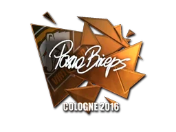 Cologne 2016pashaBiceps (Foil)