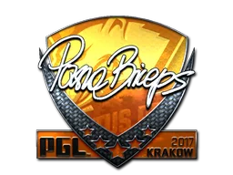 Krakow 2017pashaBiceps (Foil)
