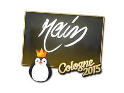 Cologne 2015rain