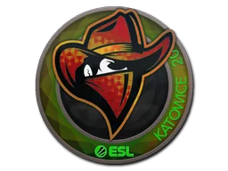 Katowice 2019Renegades (Holo)