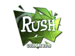 FoilCologne 2016