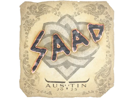 Austin 2025saadzin