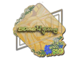 Rio 2022sdy (Holo)