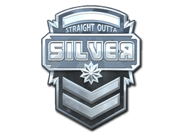 StickerSilver (Foil)