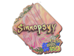 Rio 2022sinnopsyy (Holo)