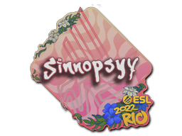 Rio 2022sinnopsyy