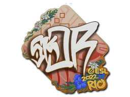 Rio 2022sk0R
