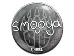 Katowice 2019smooya