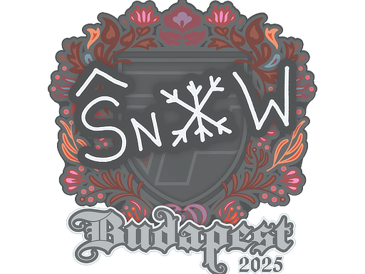 Budapest 2025snow