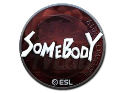 Katowice 2019somebody (Foil)