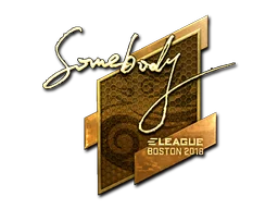 Boston 2018somebody (Gold)