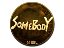Katowice 2019somebody (Gold)