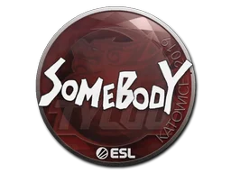 Katowice 2019somebody