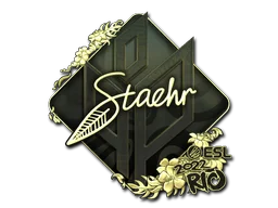Rio 2022Staehr (Gold)
