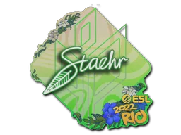 Rio 2022Staehr
