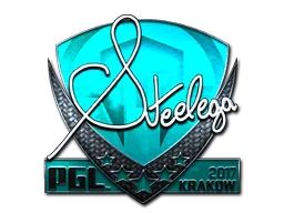 Krakow 2017steel (Foil)