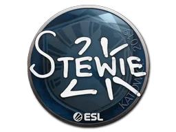 Katowice 2019Stewie2K