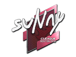 Boston 2018suNny
