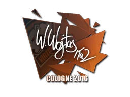 Cologne 2016TaZ