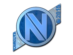 Katowice 2015Team EnVyUs (Holo)