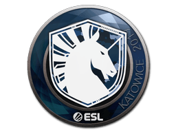 Katowice 2019Team Liquid