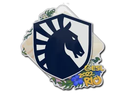 Rio 2022Team Liquid