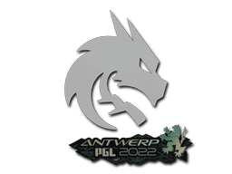 Antwerp 2022Team Spirit