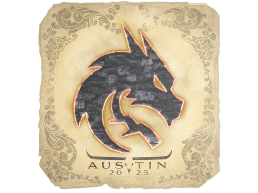 Austin 2025Team Spirit