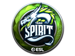 Katowice 2019Team Spirit (Foil)