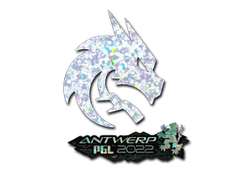 Antwerp 2022Team Spirit (Glitter)