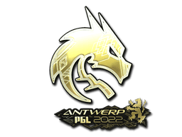 Antwerp 2022Team Spirit (Gold)