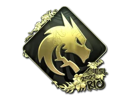 GoldRio 2022