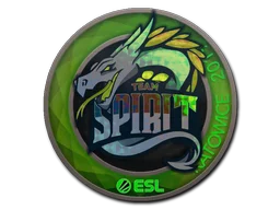 Katowice 2019Team Spirit (Holo)