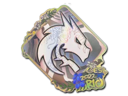 Rio 2022Team Spirit (Holo)