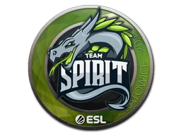 Katowice 2019Team Spirit