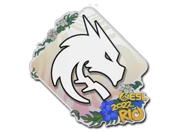 Rio 2022Team Spirit