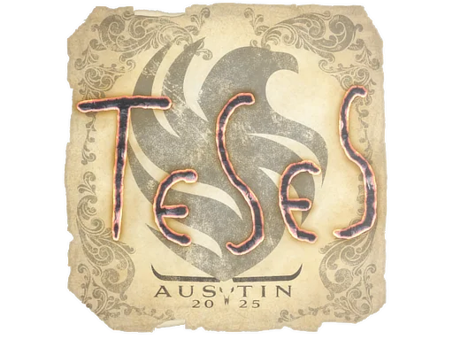 Austin 2025TeSeS