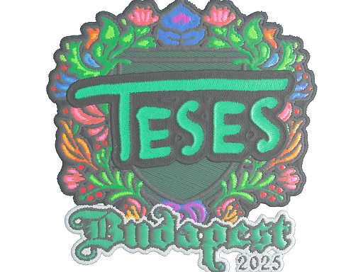 Budapest 2025TeSeS (Embroidered)