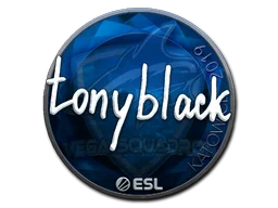 Katowice 2019tonyblack (Foil)