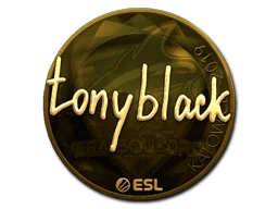 Katowice 2019tonyblack (Gold)